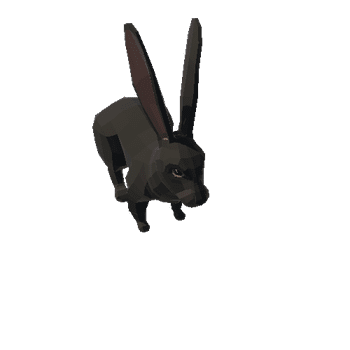 Rabbit PA Black